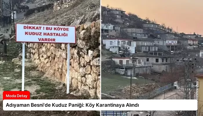 Adıyaman Besni’de Kuduz Paniği: Köy Karantinaya Alındı
