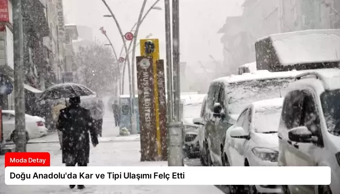 Doğu Anadolu’da Kar ve Tipi Ulaşımı Felç Etti