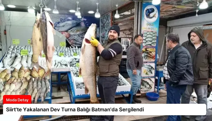 Siirt’te Yakalanan Dev Turna Balığı Batman’da Sergilendi