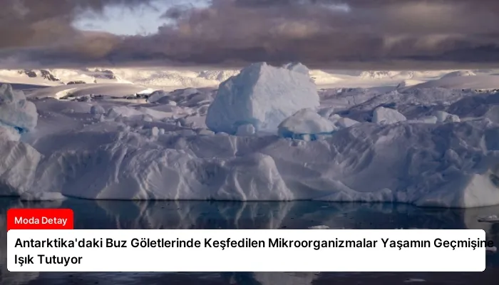 Antarktika’daki Buz Göletlerinde Keşfedilen Mikroorganizmalar Yaşamın Geçmişine Işık Tutuyor