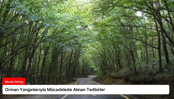 Orman Yangınlarıyla Mücadelede Alınan Tedbirler