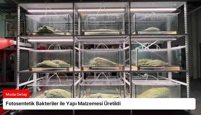 Fotosentetik Bakteriler ile Yapı Malzemesi Üretildi