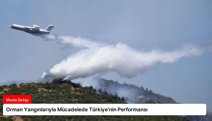 Orman Yangınlarıyla Mücadelede Türkiye’nin Performansı