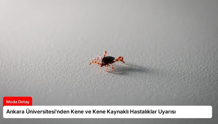 Ankara Üniversitesi’nden Kene ve Kene Kaynaklı Hastalıklar Uyarısı