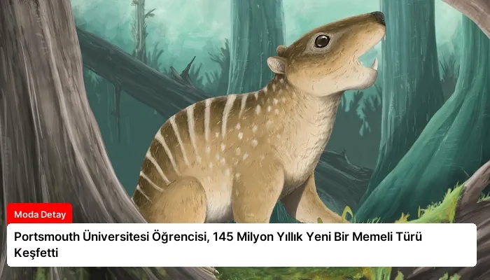 Portsmouth Üniversitesi Öğrencisi, 145 Milyon Yıllık Yeni Bir Memeli Türü Keşfetti