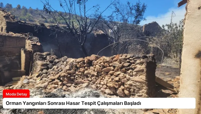 Orman Yangınları Sonrası Hasar Tespit Çalışmaları Başladı