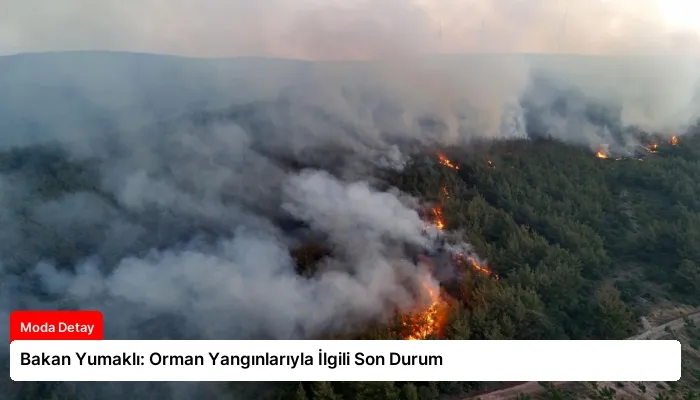 Bakan Yumaklı: Orman Yangınlarıyla İlgili Son Durum