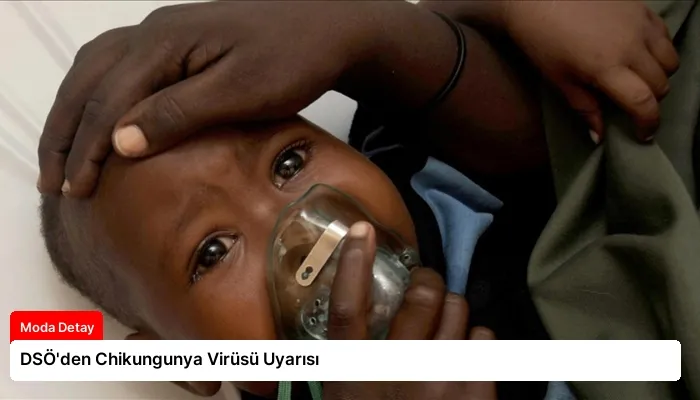 DSÖ’den Chikungunya Virüsü Uyarısı