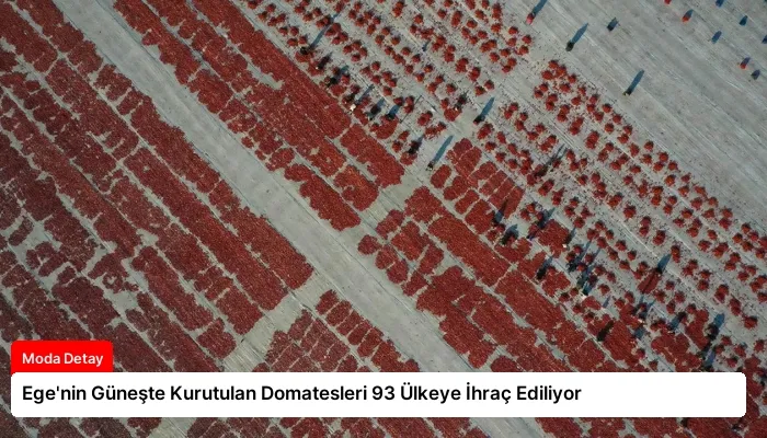 Ege’nin Güneşte Kurutulan Domatesleri 93 Ülkeye İhraç Ediliyor