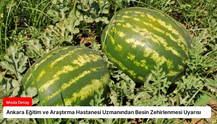 Ankara Eğitim ve Araştırma Hastanesi Uzmanından Besin Zehirlenmesi Uyarısı