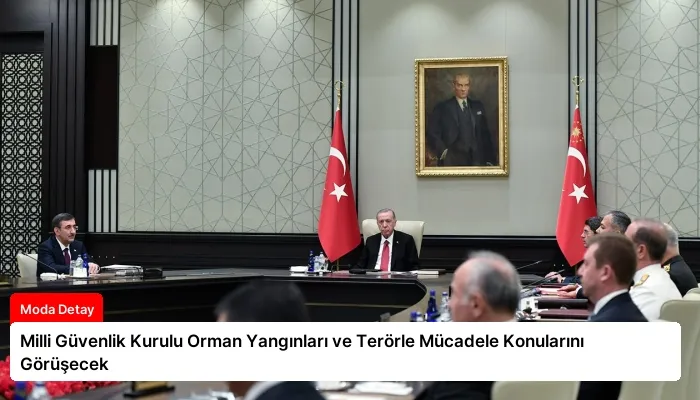 Milli Güvenlik Kurulu Orman Yangınları ve Terörle Mücadele Konularını Görüşecek