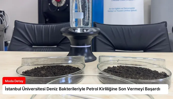 İstanbul Üniversitesi Deniz Bakterileriyle Petrol Kirliliğine Son Vermeyi Başardı