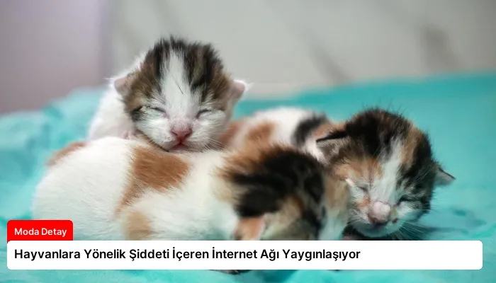 Hayvanlara Yönelik Şiddeti İçeren İnternet Ağı Yaygınlaşıyor