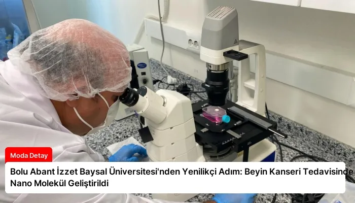 Bolu Abant İzzet Baysal Üniversitesi’nden Yenilikçi Adım: Beyin Kanseri Tedavisinde Nano Molekül Geliştirildi