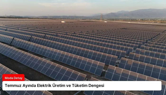Temmuz Ayında Elektrik Üretim ve Tüketim Dengesi