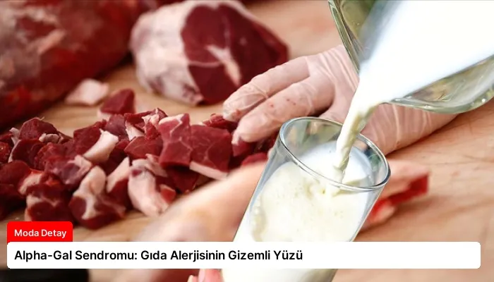 Alpha-Gal Sendromu: Gıda Alerjisinin Gizemli Yüzü