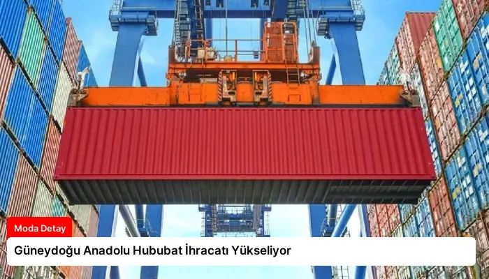 Güneydoğu Anadolu Hububat İhracatı Yükseliyor