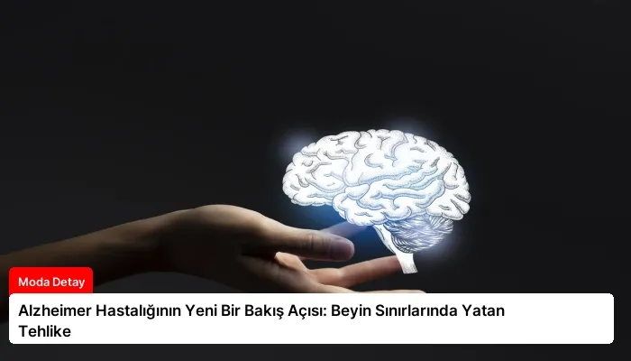 Alzheimer Hastalığının Yeni Bir Bakış Açısı: Beyin Sınırlarında Yatan Tehlike