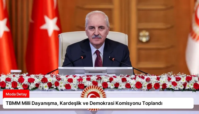 TBMM Milli Dayanışma, Kardeşlik ve Demokrasi Komisyonu Toplandı