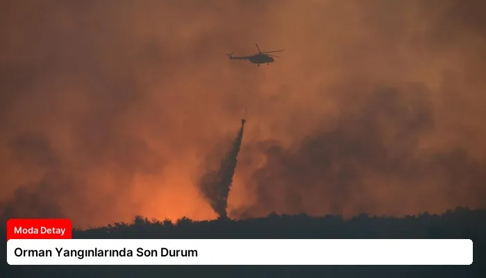 Orman Yangınlarında Son Durum