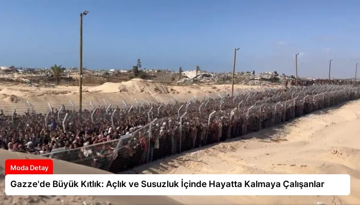 Gazze’de Büyük Kıtlık: Açlık ve Susuzluk İçinde Hayatta Kalmaya Çalışanlar