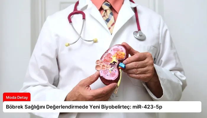 Böbrek Sağlığını Değerlendirmede Yeni Biyobelirteç: miR-423-5p