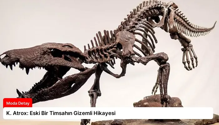 K. Atrox: Eski Bir Timsahın Gizemli Hikayesi