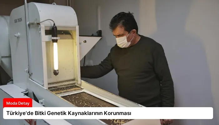 Türkiye’de Bitki Genetik Kaynaklarının Korunması