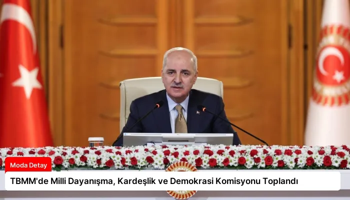 TBMM’de Milli Dayanışma, Kardeşlik ve Demokrasi Komisyonu Toplandı