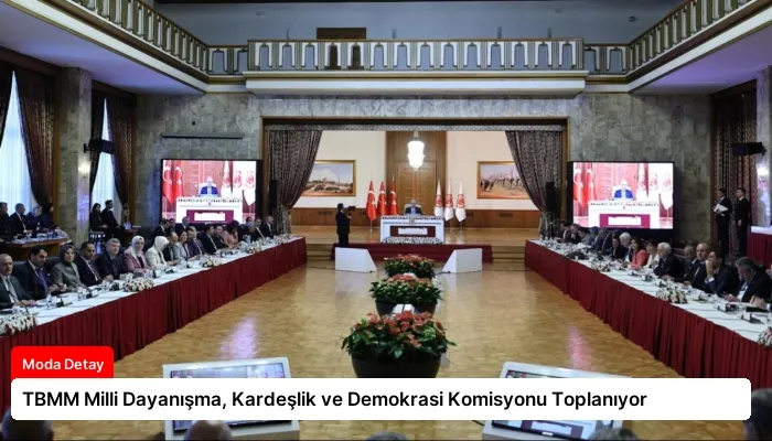 TBMM Milli Dayanışma, Kardeşlik ve Demokrasi Komisyonu Toplanıyor