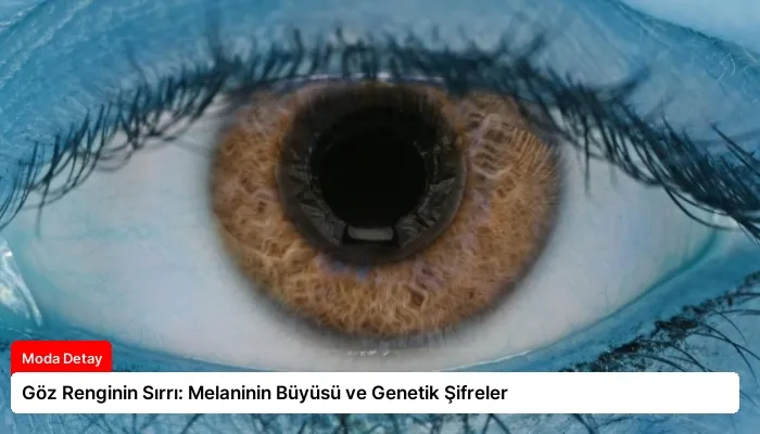 Göz Renginin Sırrı: Melaninin Büyüsü ve Genetik Şifreler