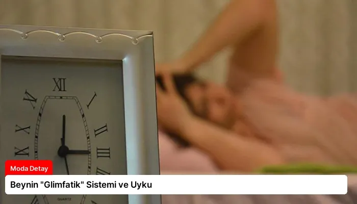 Beynin “Glimfatik” Sistemi ve Uyku