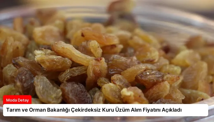 Tarım ve Orman Bakanlığı Çekirdeksiz Kuru Üzüm Alım Fiyatını Açıkladı