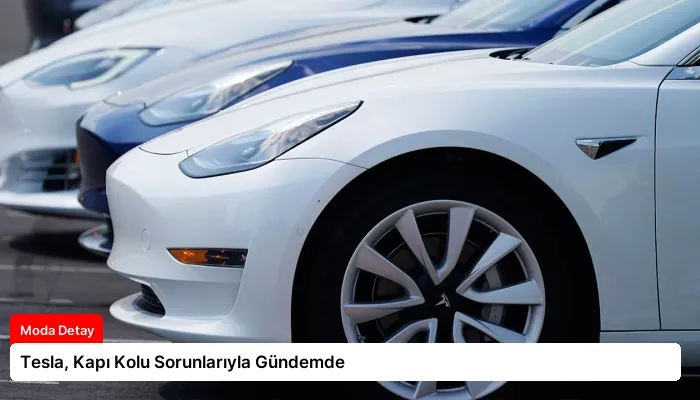 Tesla, Kapı Kolu Sorunlarıyla Gündemde
