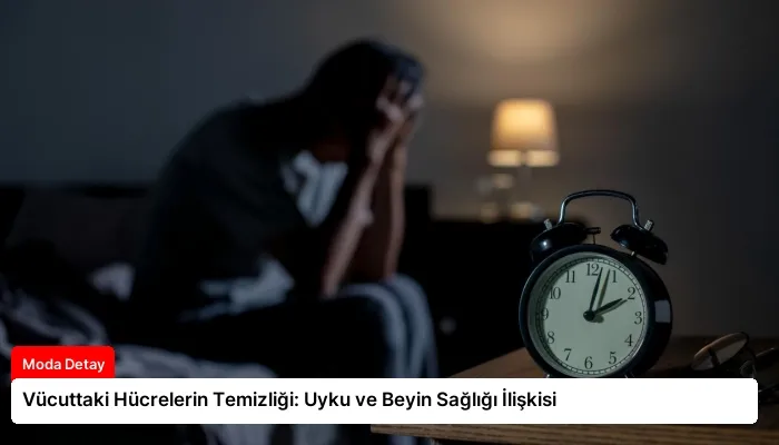 Vücuttaki Hücrelerin Temizliği: Uyku ve Beyin Sağlığı İlişkisi