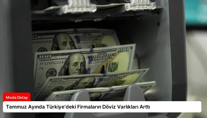Temmuz Ayında Türkiye’deki Firmaların Döviz Varlıkları Arttı
