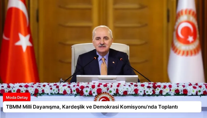 TBMM Milli Dayanışma, Kardeşlik ve Demokrasi Komisyonu’nda Toplantı