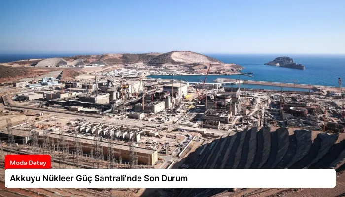 Akkuyu Nükleer Güç Santrali’nde Son Durum