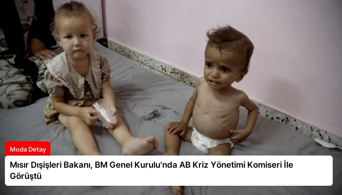 Mısır Dışişleri Bakanı, BM Genel Kurulu’nda AB Kriz Yönetimi Komiseri İle Görüştü