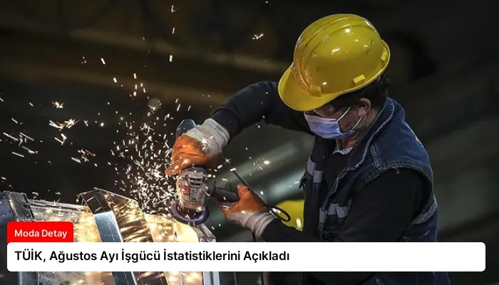 TÜİK, Ağustos Ayı İşgücü İstatistiklerini Açıkladı