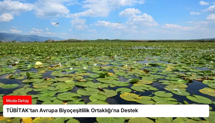 TÜBİTAK’tan Avrupa Biyoçeşitlilik Ortaklığı’na Destek