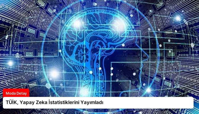 TÜİK, Yapay Zeka İstatistiklerini Yayımladı