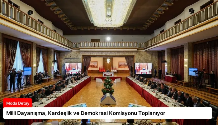 Milli Dayanışma, Kardeşlik ve Demokrasi Komisyonu Toplanıyor