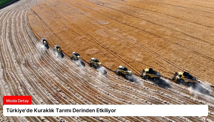Türkiye’de Kuraklık Tarımı Derinden Etkiliyor