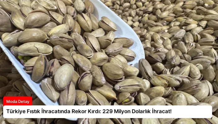 Türkiye Fıstık İhracatında Rekor Kırdı: 229 Milyon Dolarlık İhracat!