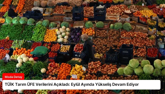 TÜİK Tarım ÜFE Verilerini Açıkladı: Eylül Ayında Yükseliş Devam Ediyor