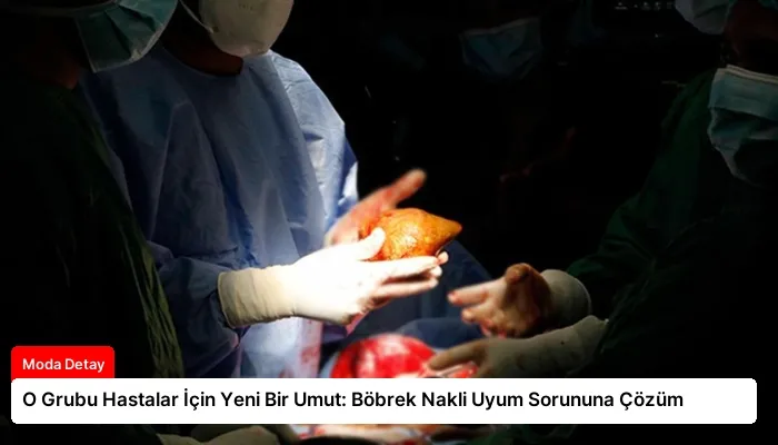 O Grubu Hastalar İçin Yeni Bir Umut: Böbrek Nakli Uyum Sorununa Çözüm