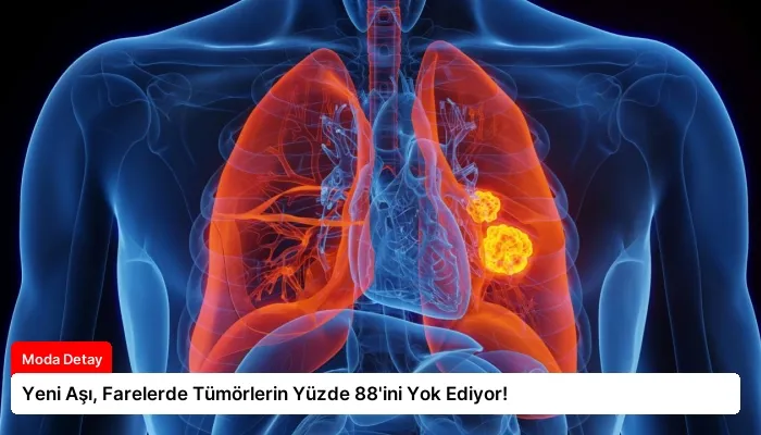Yeni Aşı, Farelerde Tümörlerin Yüzde 88’ini Yok Ediyor!