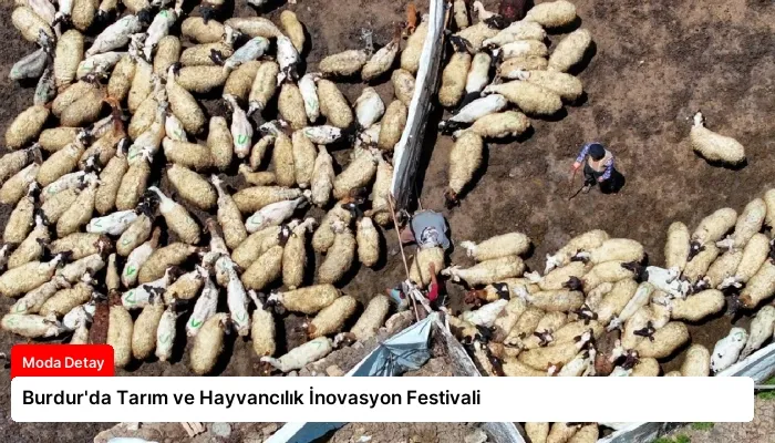 Burdur’da Tarım ve Hayvancılık İnovasyon Festivali