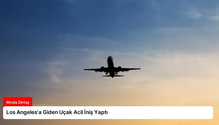 Los Angeles’a Giden Uçak Acil İniş Yaptı